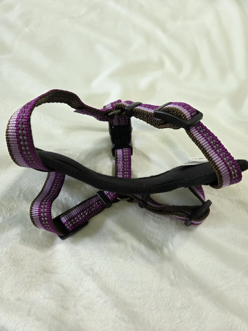 XS Coastal Explorer Purple Padded Dog Harness